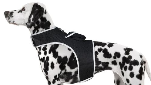 Mini GPS Dog Collar Realtime GSM Tracking Device Wireless Pet Tracker Size:S