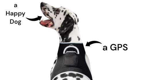 GSM GPS Tracker Dog Cat Realtime Wireless Surveillance Tracking System Size:S